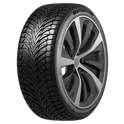 Шина Fortune Fitclime FSR-401 175/70 R13 82T